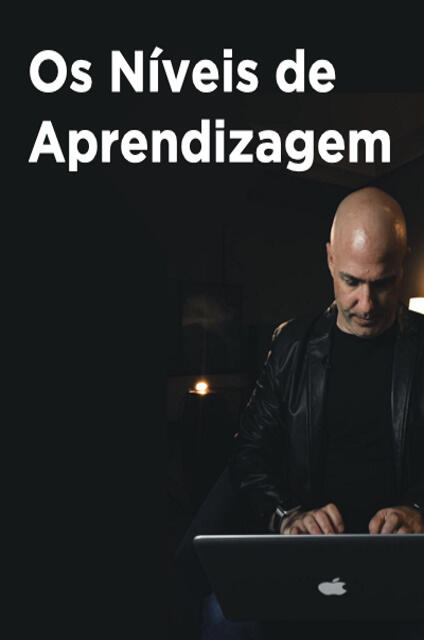Os Níveis de Aprendizagem Os Níveis de Aprendizagem
